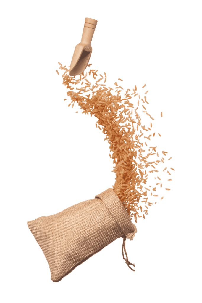 Top Rice Brands in Kerala